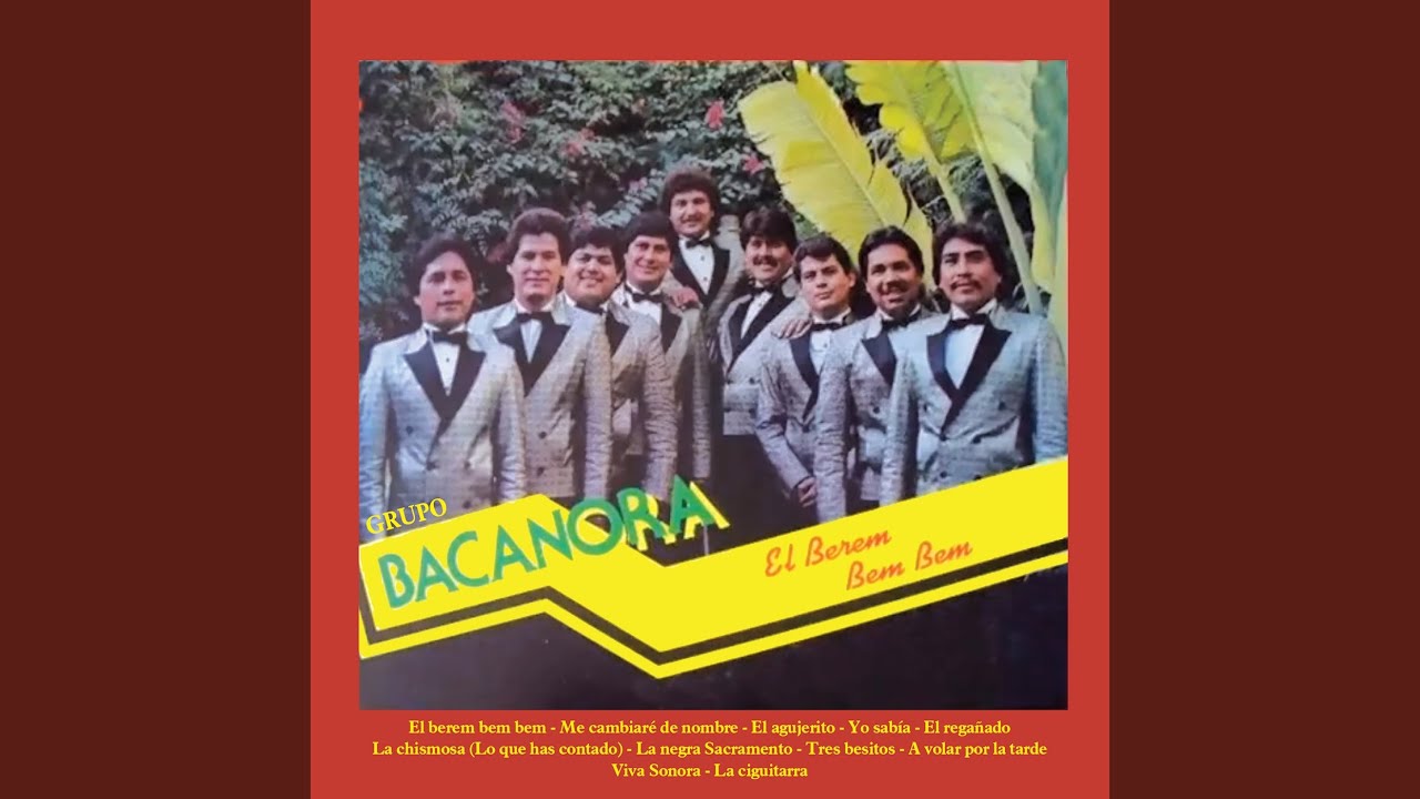 Viva Sonora