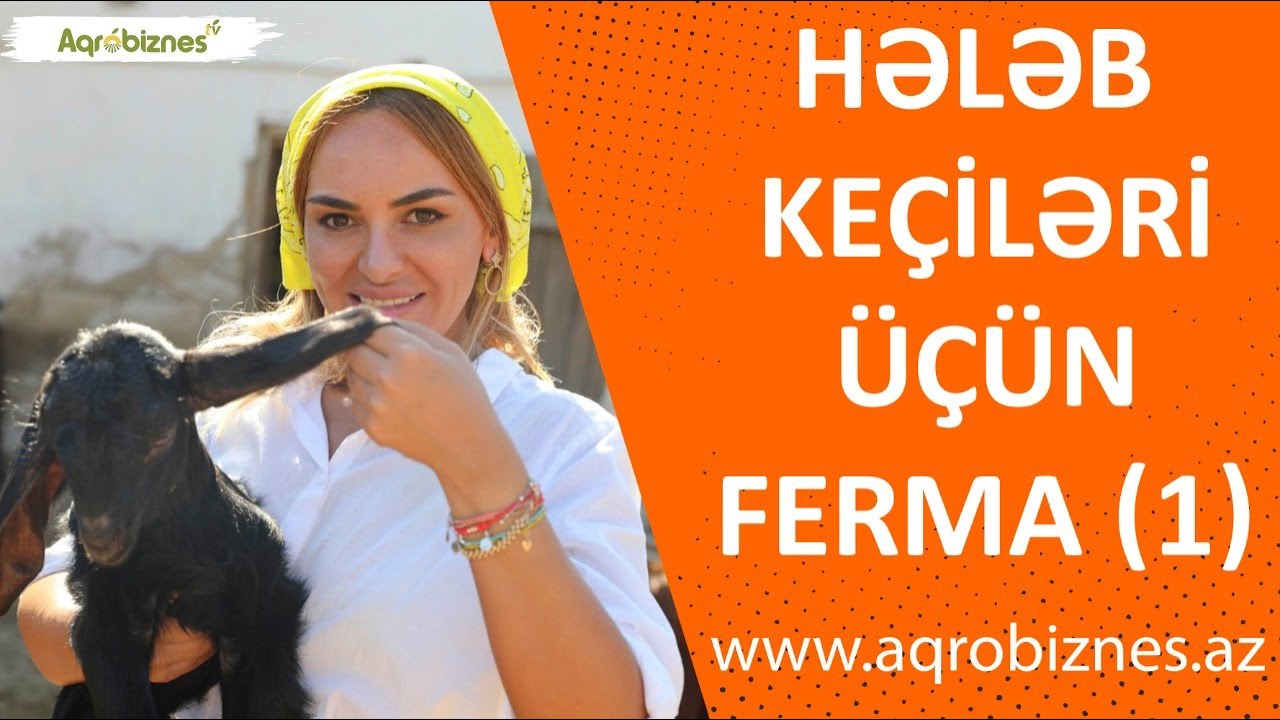 Hələb keçiləri saxlamaq istəyənlər üçün ferma təklifi