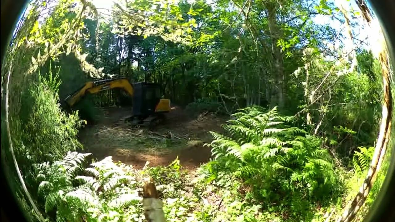 Excavator mulching for RV spot