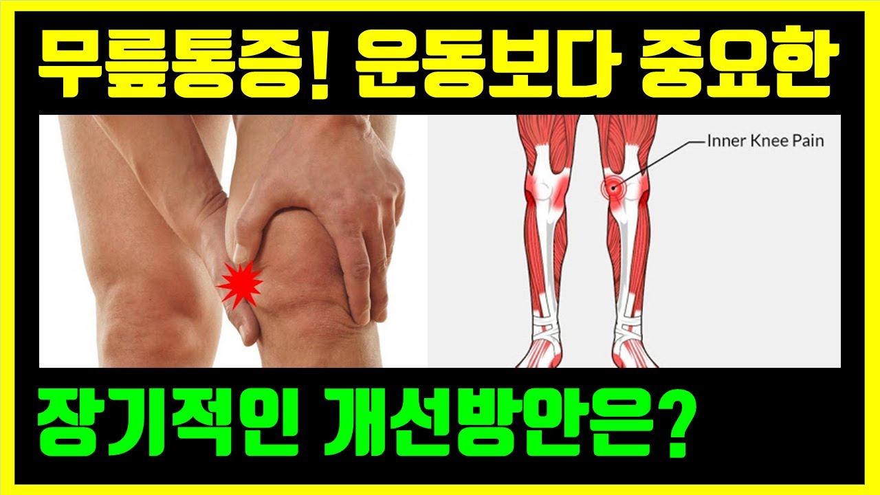무릎통증 개선을 위한 운동법 보다 중요한 근본적인 해결책! (ft. 거위발건염)