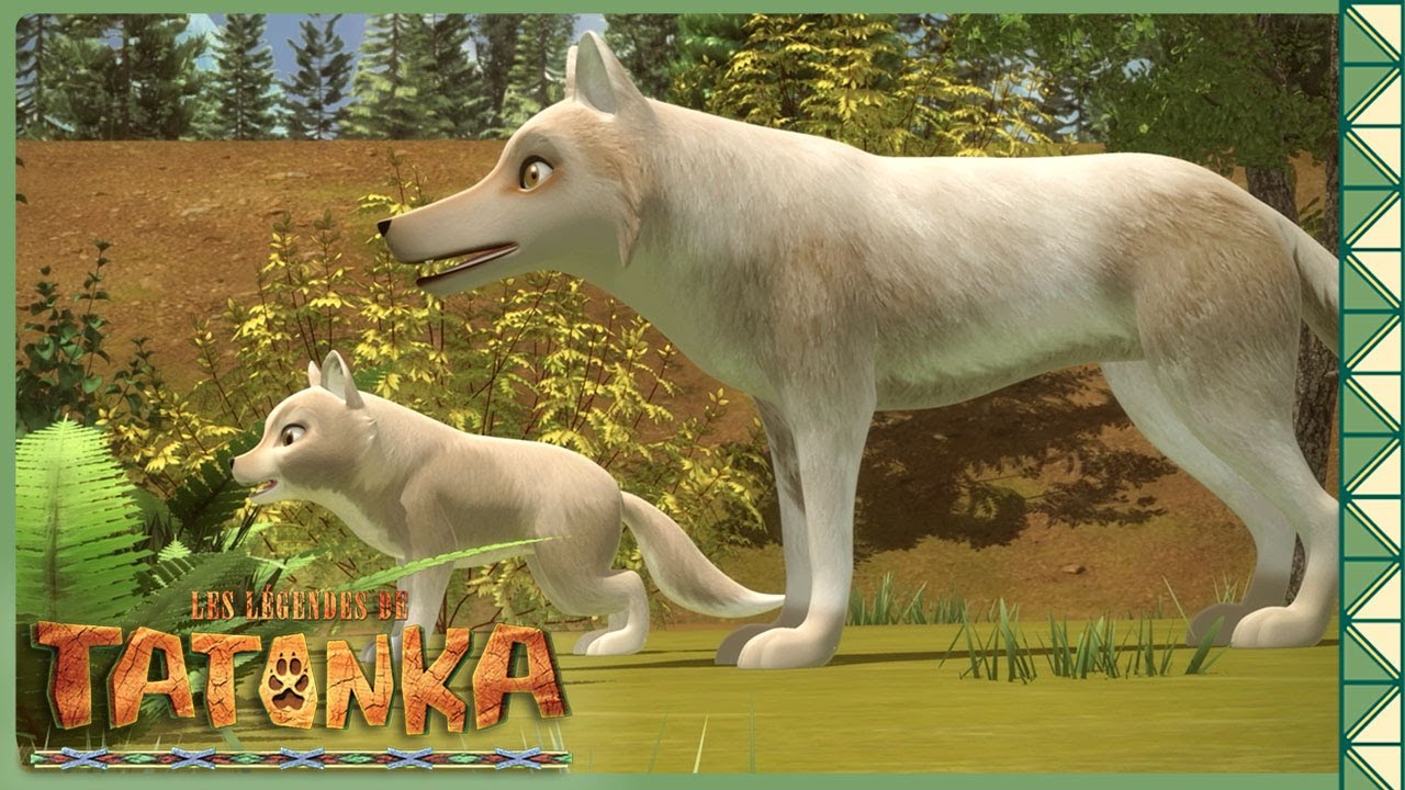Tout pour la Meute : La Famille des Louveteaux à l’Honneur ! | Tatonka