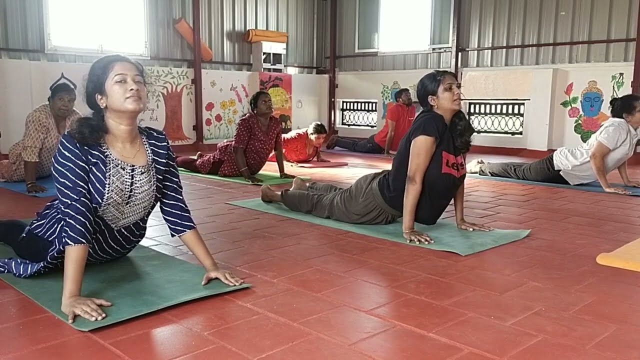 Daily Yoga