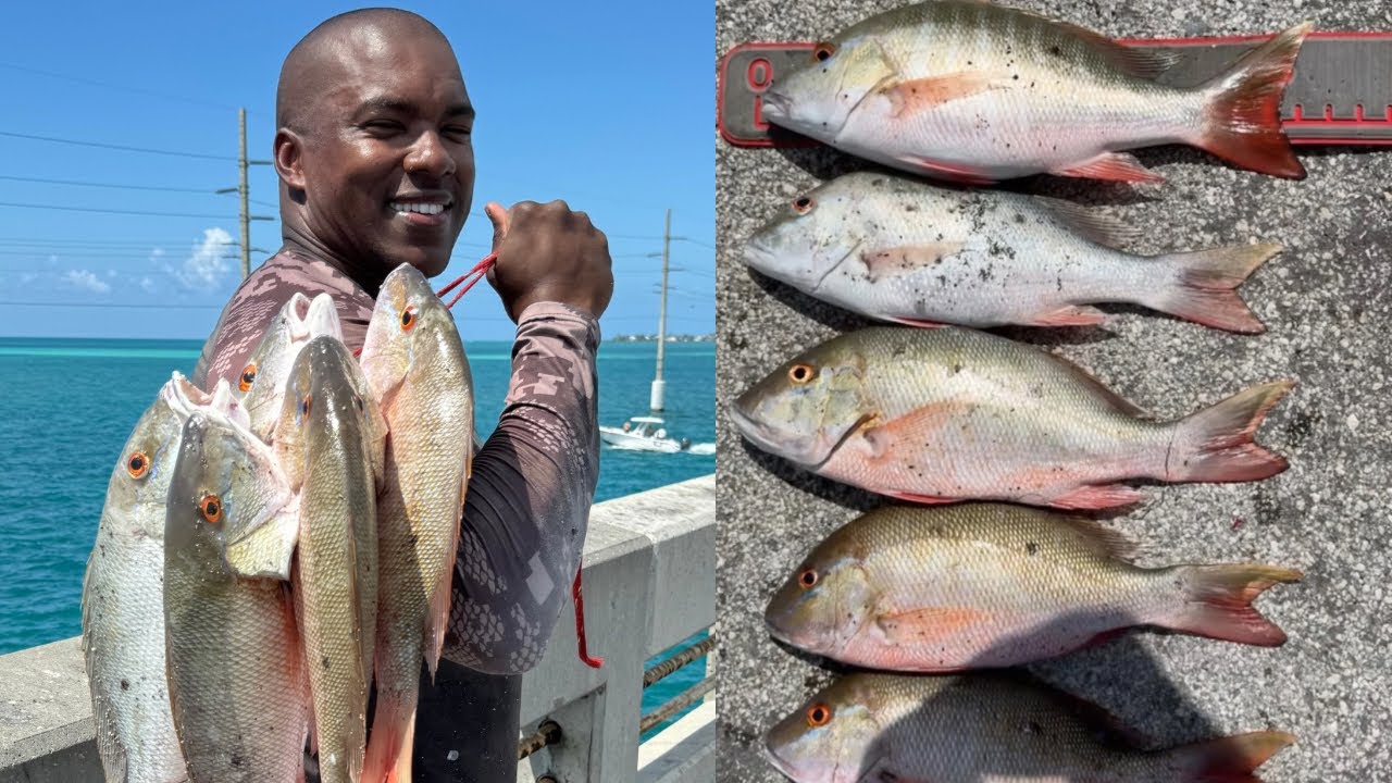 FIVE Keeper Muttons FLIPPED! SNAPPER LIMIT! (Florida Keys Bridge Fishing)