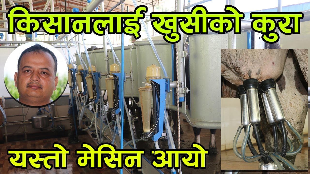 नेपालका किसानलाई खुसीको कुरा ! आयो यस्तो गाई दुहुने मेसिन │Nepal Chitra