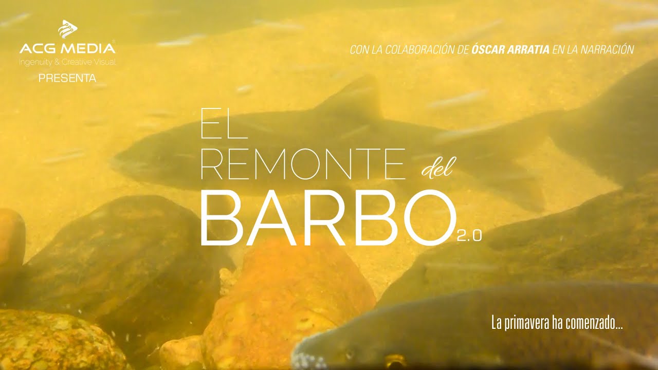 El Remonte del Barbo 2.0