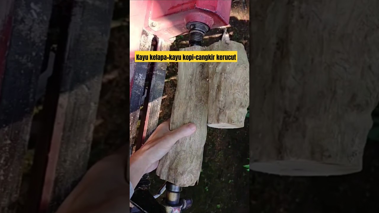 Cangkir kopi dari kayu kopi - bubut kayu kopi