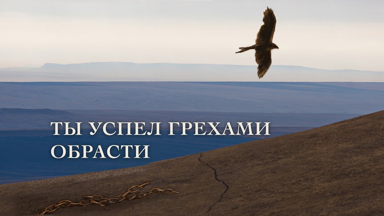 Ты успел грехами обрасти - Balzhik Peter&Violetta