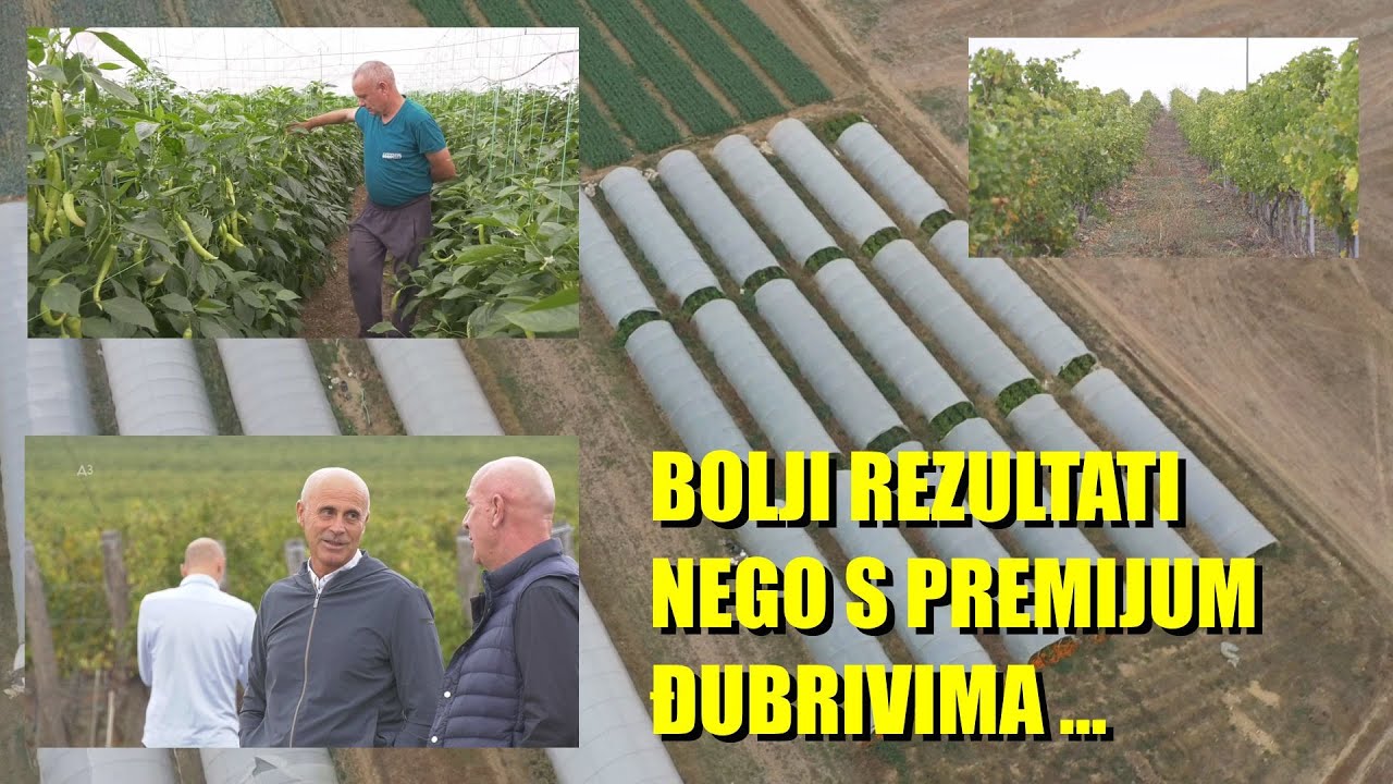 BOLJI NEGO PREMIJUM DJUBRIVA ? POBOLJŠIVAČ zemljišta -u POVRTARSTVU U VINOGRADARSTVU - šta je dao ?