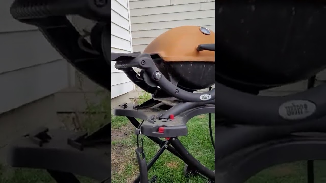 Formosa mountain dog waiting for bbq 😋