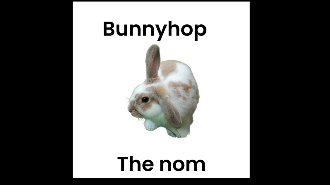 Rabbit in da yard