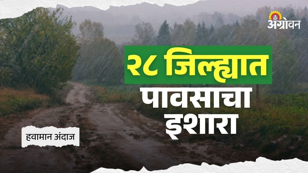 Rain Update : कोकण, मध्य महाराष्ट्र, मराठवाडा आणि विदर्भात पावसाचा अंदाज | Agrowon