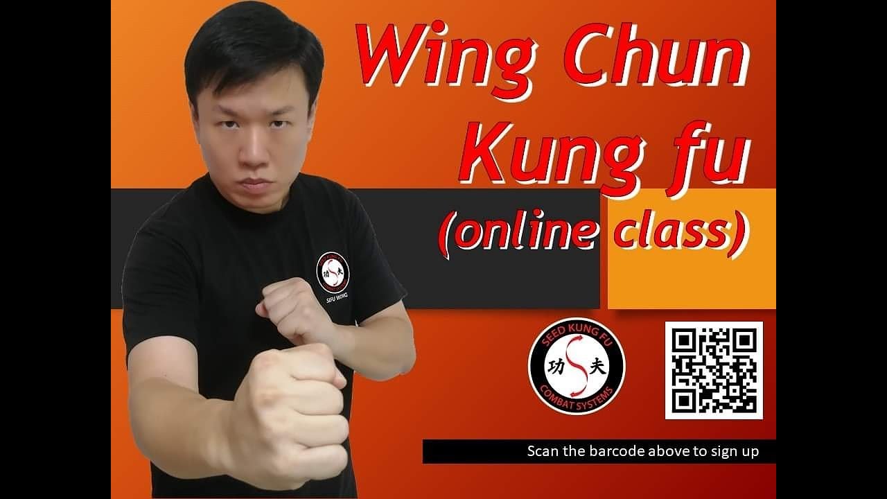 Online Wing Chun Kung Fu Class