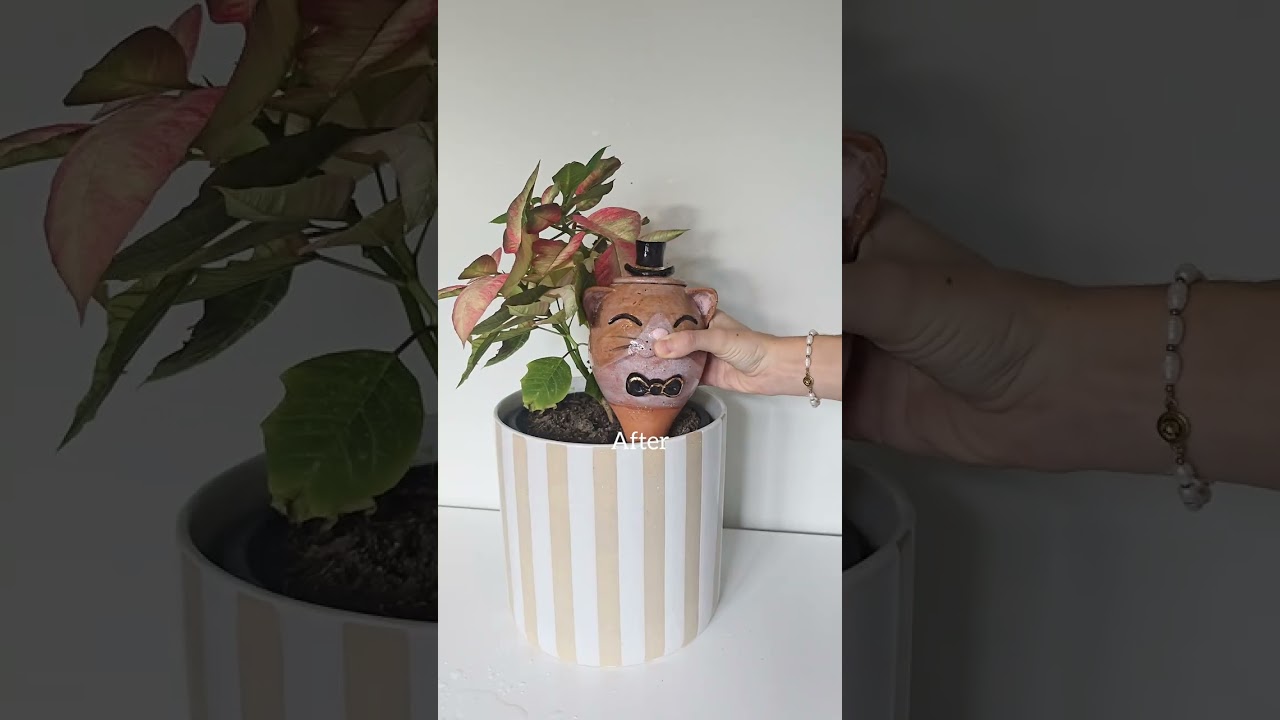 Ceramic olla (oya) for cat lovers