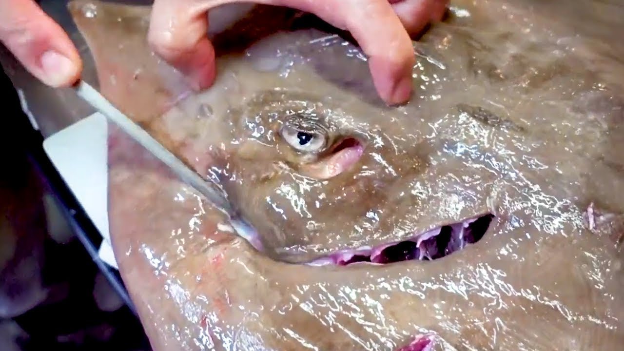 Japanese Street Food - STINGRAY Tempura and Stew Seafood Japan