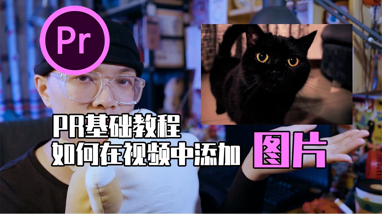 如何用PR为视频添加图片
