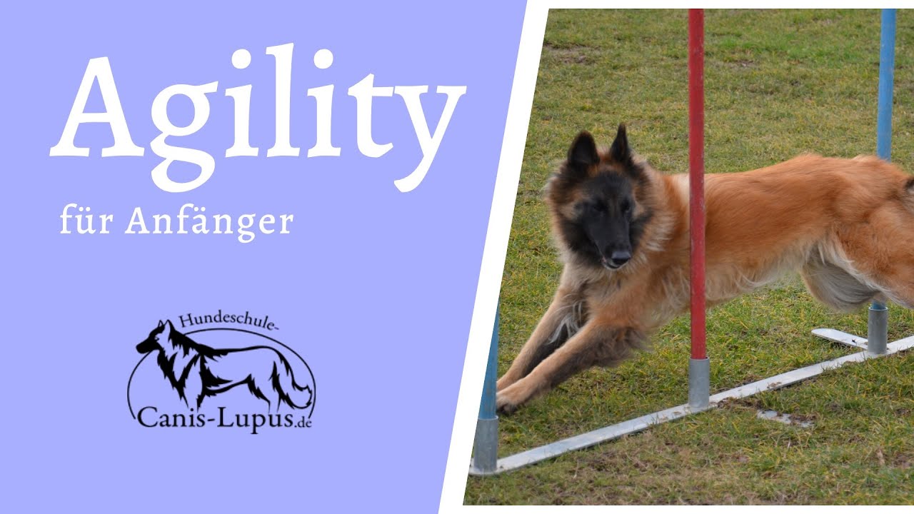 Agility 