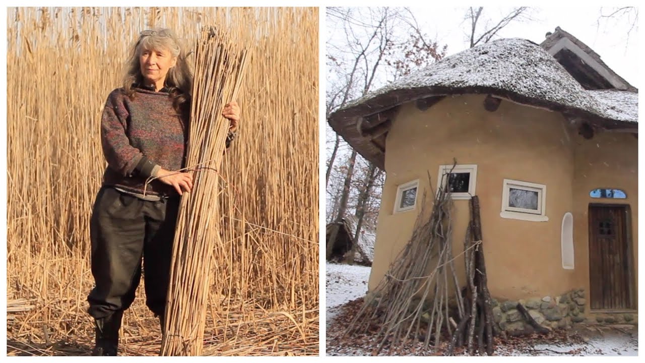 Phragmites Reed Collection for Thatched Roof