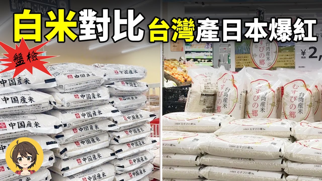 中國產大米在日本被嫌,台灣米卻爆紅,差別在哪？日媒網紅實測給高度評價,連台灣砂糖也被日本職人一口氣掃貨｜小麗看一看