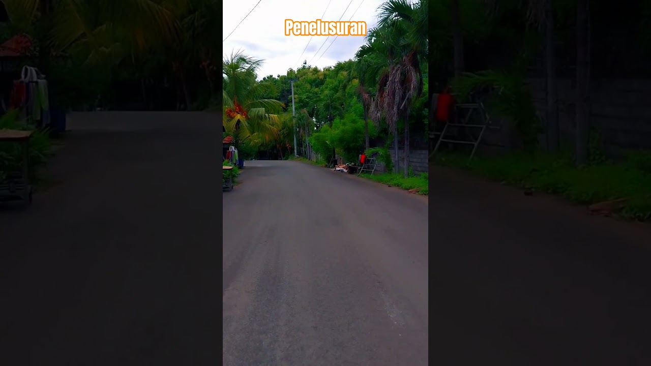 Suasana Lingkungan Pedesaan Yang Damai 