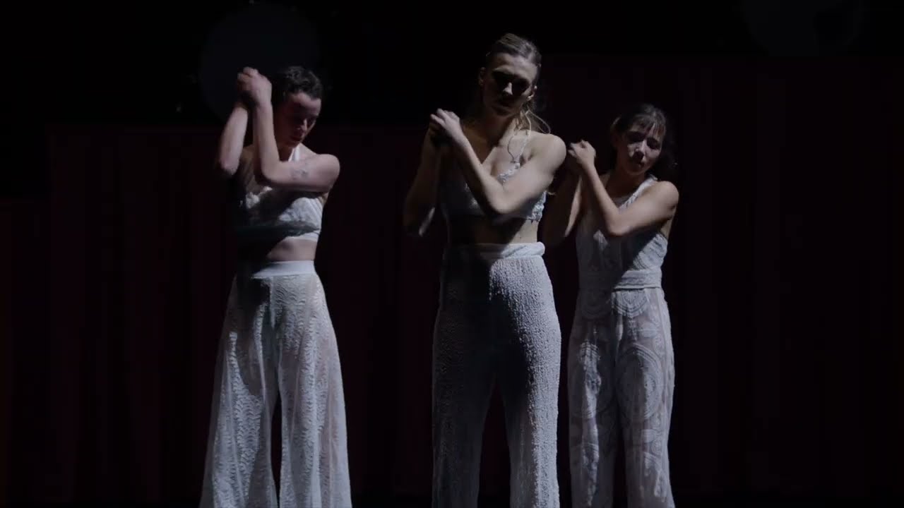 Festival Madrid en Danza 2024. MANIFESTO de la Stephanie Lake Company
