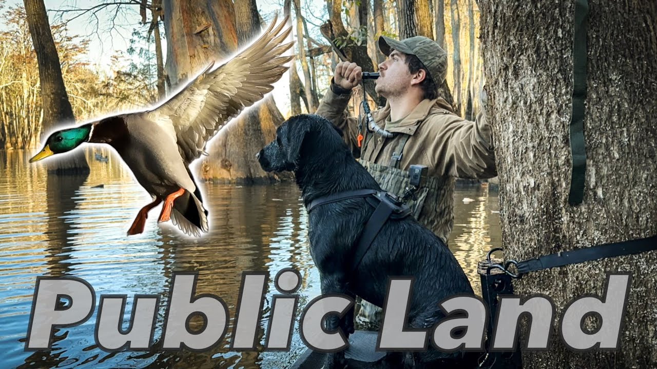OPENING DAY of DUCK SEASON in ARKANSAS | Trickey Outdoors