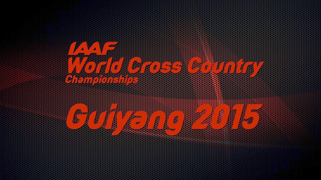 WXC Guiyang 2015 - Highlights