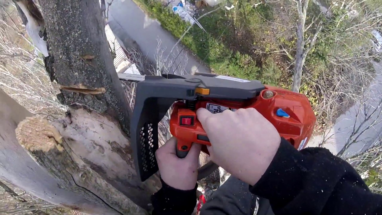 OBARANJE STABLA U SRBIJI (ARBORIZAM)