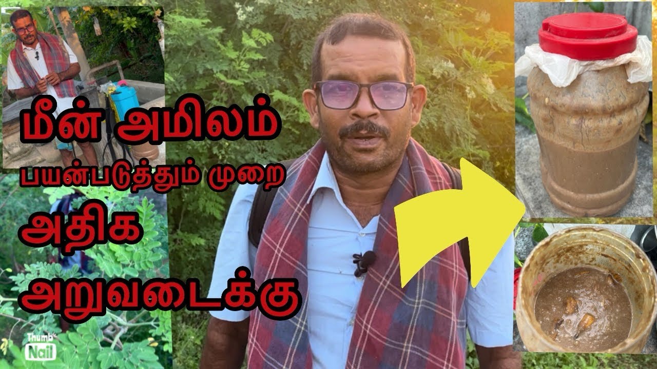 🐟மீன் அமிலம் பயன்படுத்தும் முறை| மீன் அமிலம் உபயோகங்கள்|Ragu jeyaa