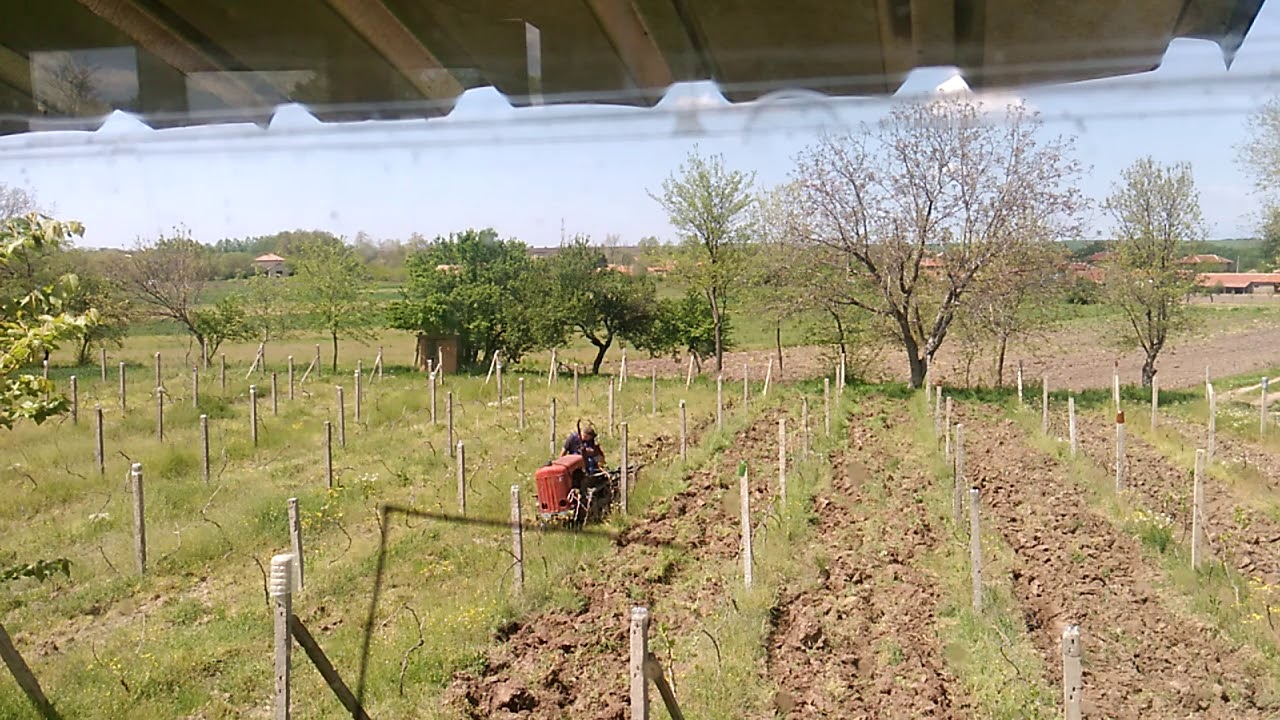 Bulgarian plowing bolgar tl 30