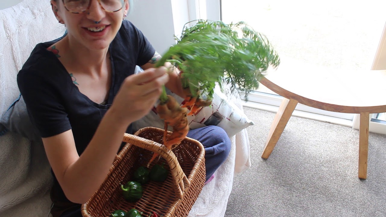 EDS Vlog 18 - Crazy Carrots! [24.09.17]