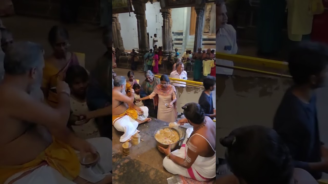 Prasadam Distribution Sri Natarajar Temple 1.3.2026 Maasi  Maharudrajapa Mahabisheham Deekshithars.
