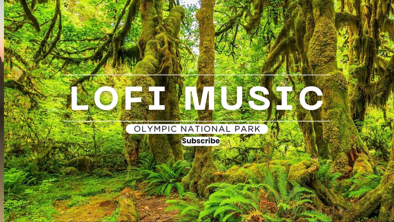 Relaxing Music | Escape to the mossy trails of Olympic National Park. Press play and drift away. 🌲🎧