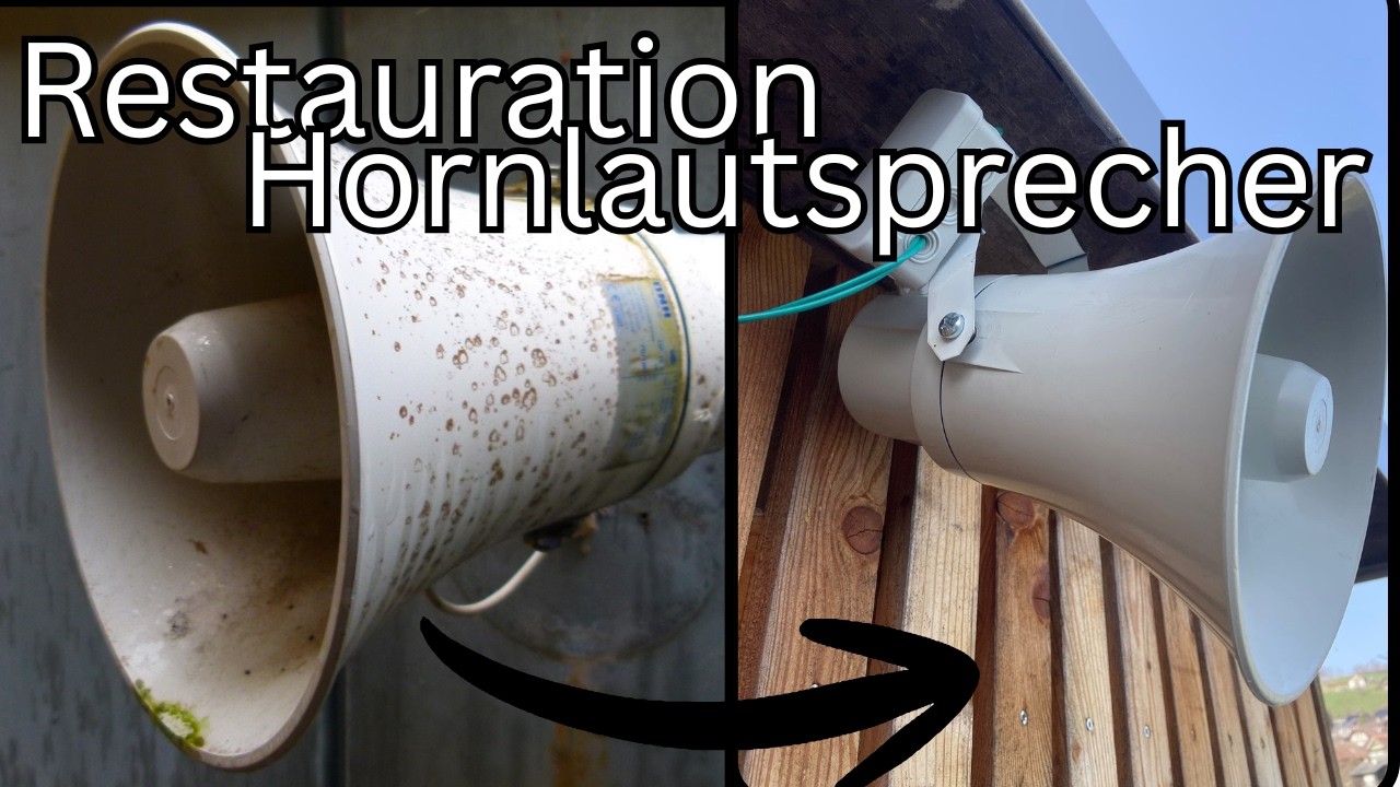 Restauration Druckkammerlautsprecher | DNH PN-15 | Schule Hünibach Hilterfingen BE
