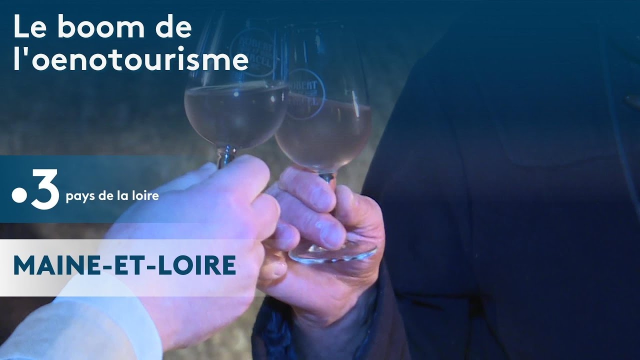 Le boom de l'œnotourisme dans le saumurois
