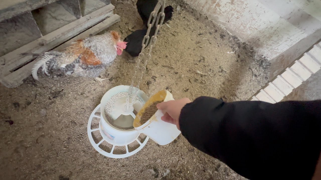 адекватным ЛЮДЯМ спасибо! а пока потеплело мне нужно успеть сделать