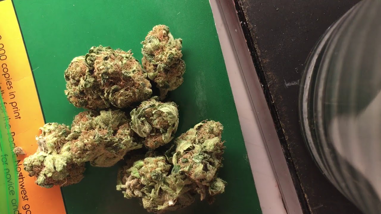 CHOCOLOPE KUSH (strain review)