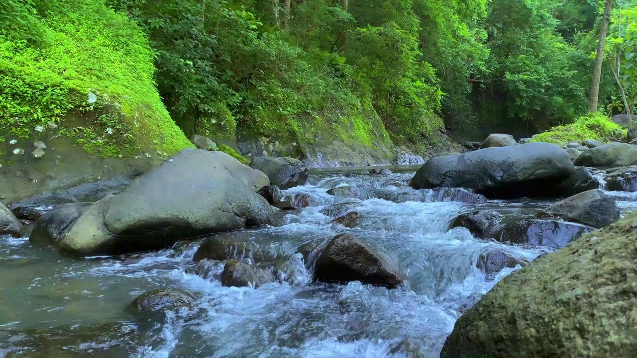 Gentle Water Ambience for Stress Relief
