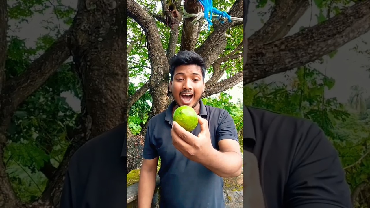 ASMR AMERICA#3276'SORIGINAL DUBBLEBUBBLE GUM (3 FRUIT FLAVORS) AND...part3