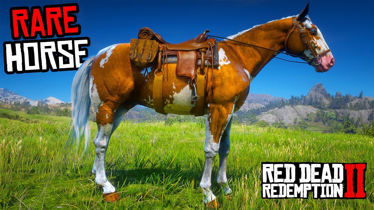 4 Rare American Paint Horses (Location & Rankings) - RDR 2