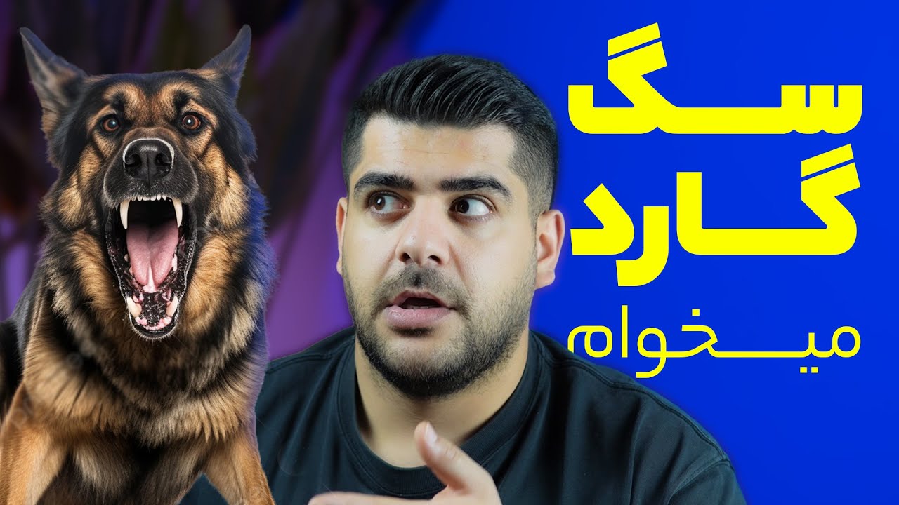 انتخاب سگ گارد | معرفی 3 نژآد سگ مخصوص گارد 🔥