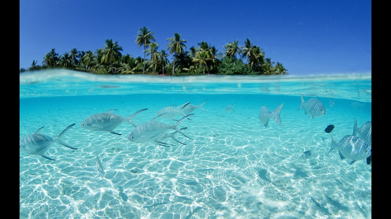 Beautiful UNDERWATER Chillout Del Mar Lounge Mix Del Mar
