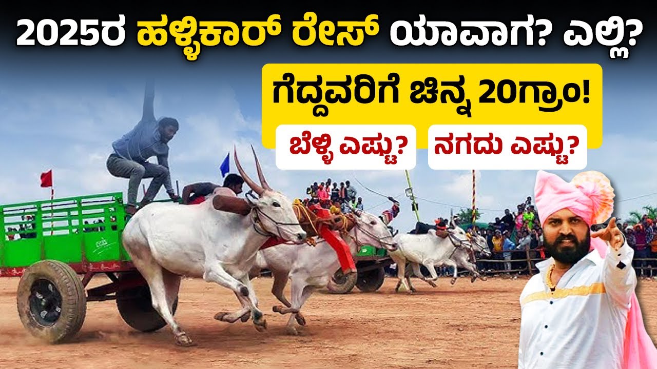ಈ ಸಲದ ಹಳ್ಳಿಕಾರ್ ರೇಸ್ ಎಲ್ಲಿ? ಹಳ್ಳಿಕಾರ್ ರೇಸ್ ನಲ್ಲಿ ಮೊದಲು ಹೆದ್ದವ್ರಿಗೆ 20 ಗ್ರಾಂ ಚಿನ್ನ? Varthur Santhosh