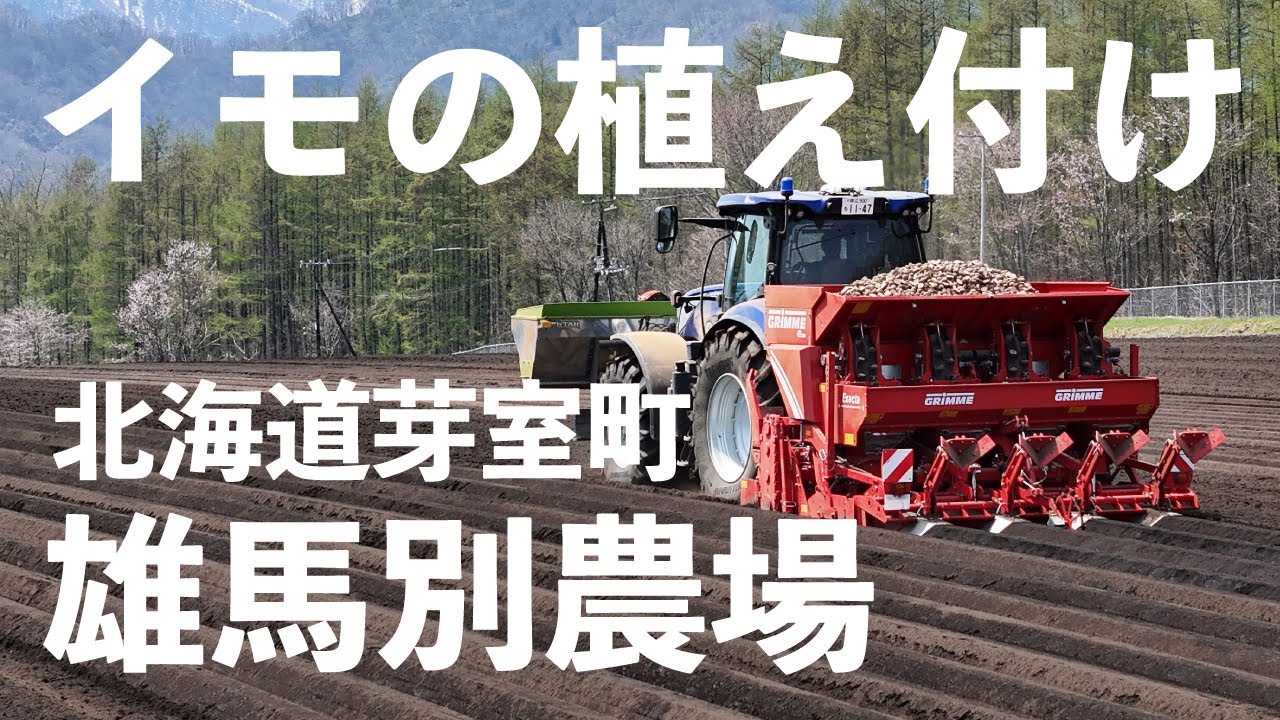 Grimme GL420 Exactaでイモの植え付け。一度の工程で播種床作り、播種、培土を仕上げます。