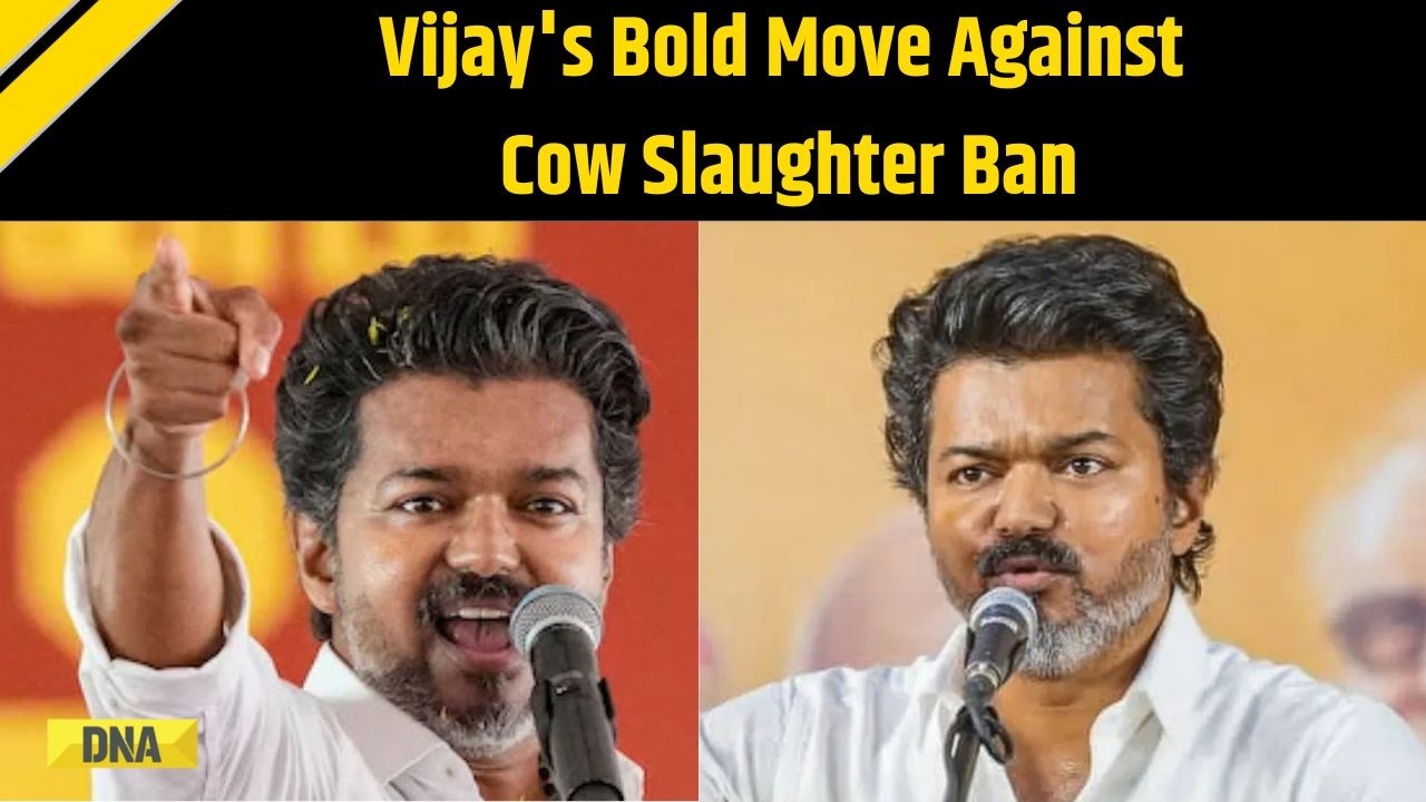 Tamil Nadu News: TVK Chief Moves Supreme Court Against Cow Slaughter Ban, Sparks Political Row