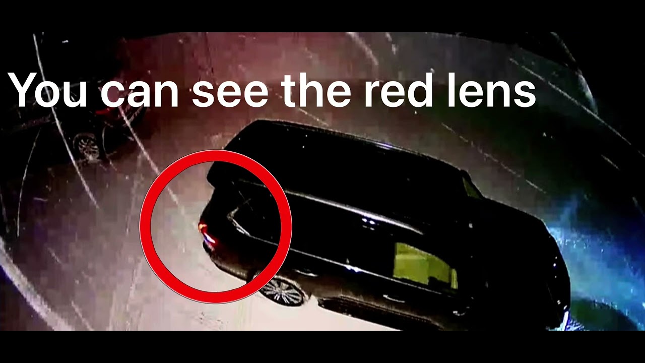 Карен Рид, Trial Taillight, забавные истории и наблюдения.