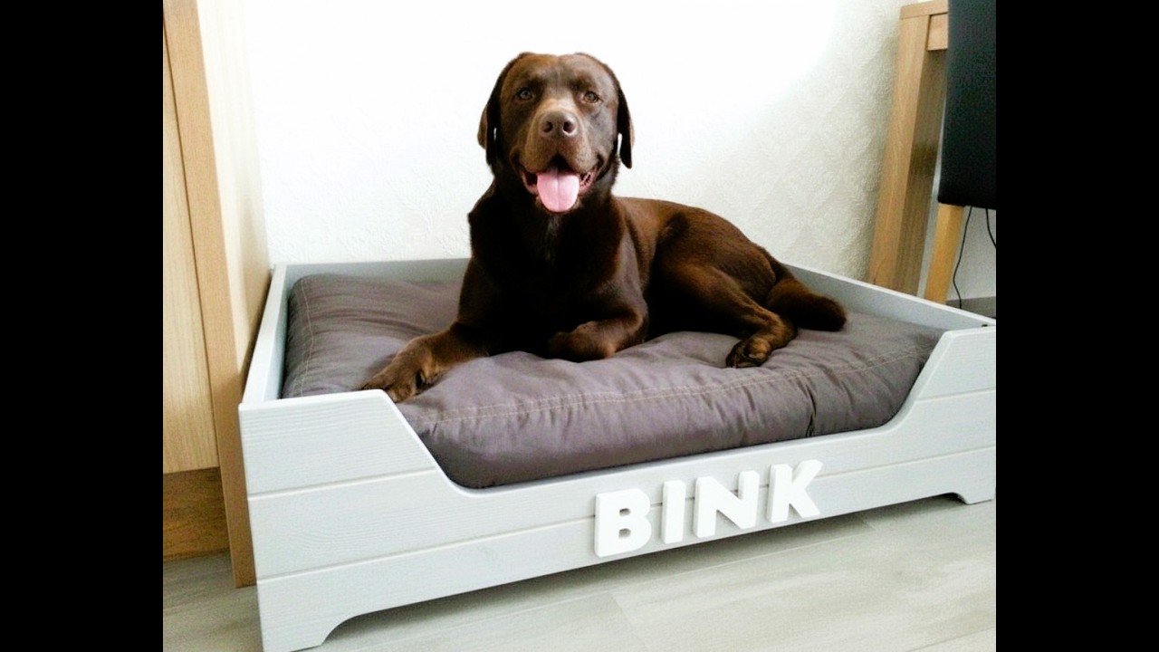 ❤️ “You’re not buying a product… you’re buying moments of joy for your pet.”#dog #cat #pets #puppy
