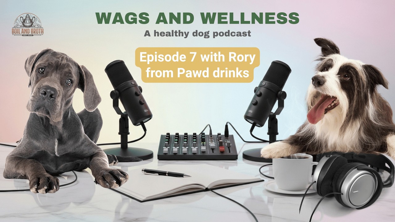 Wags and Wellness episode 7 with Rory from PAWD Drinks