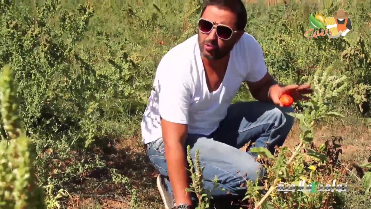 الفلاحة البيولوجية في تونس