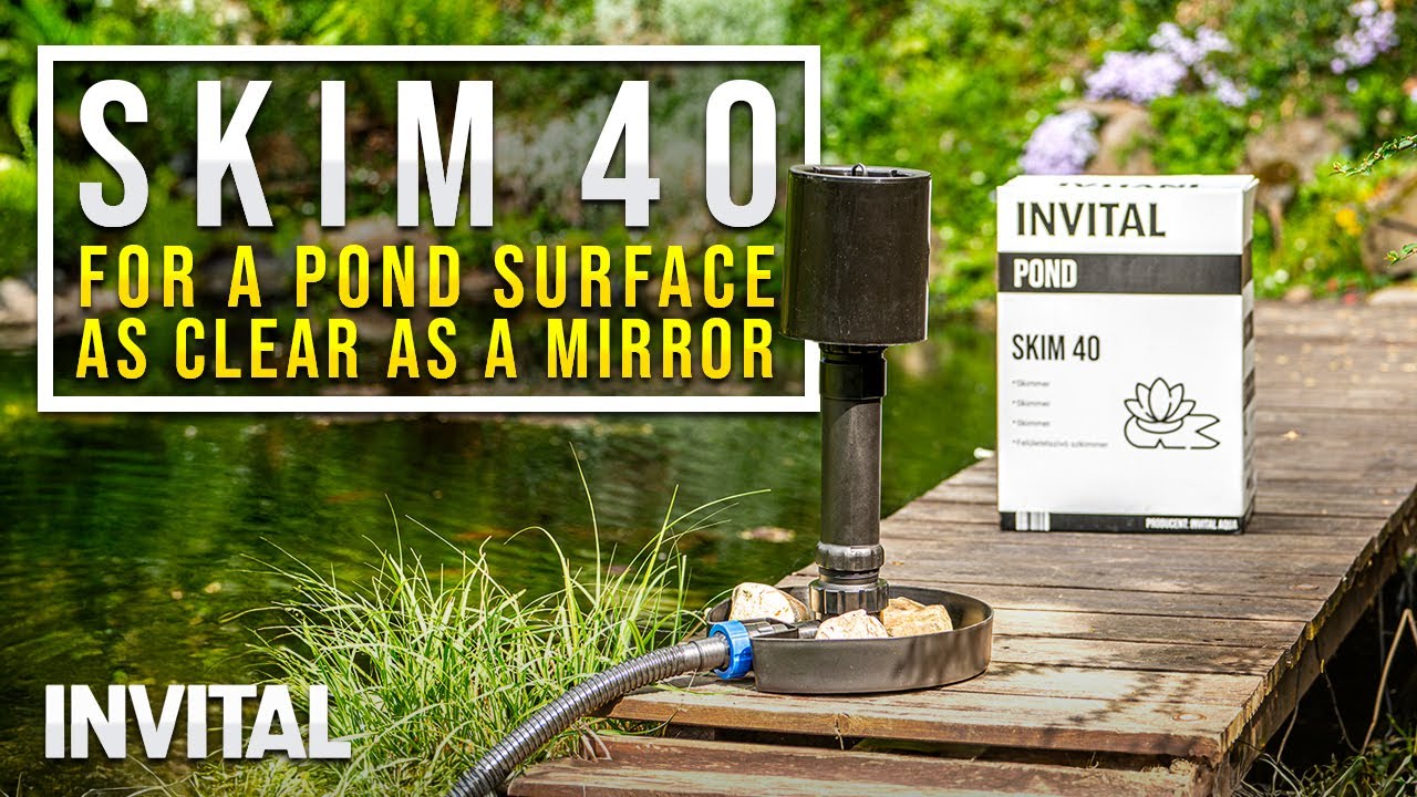 Pond skimmer INVITAL Skim 40