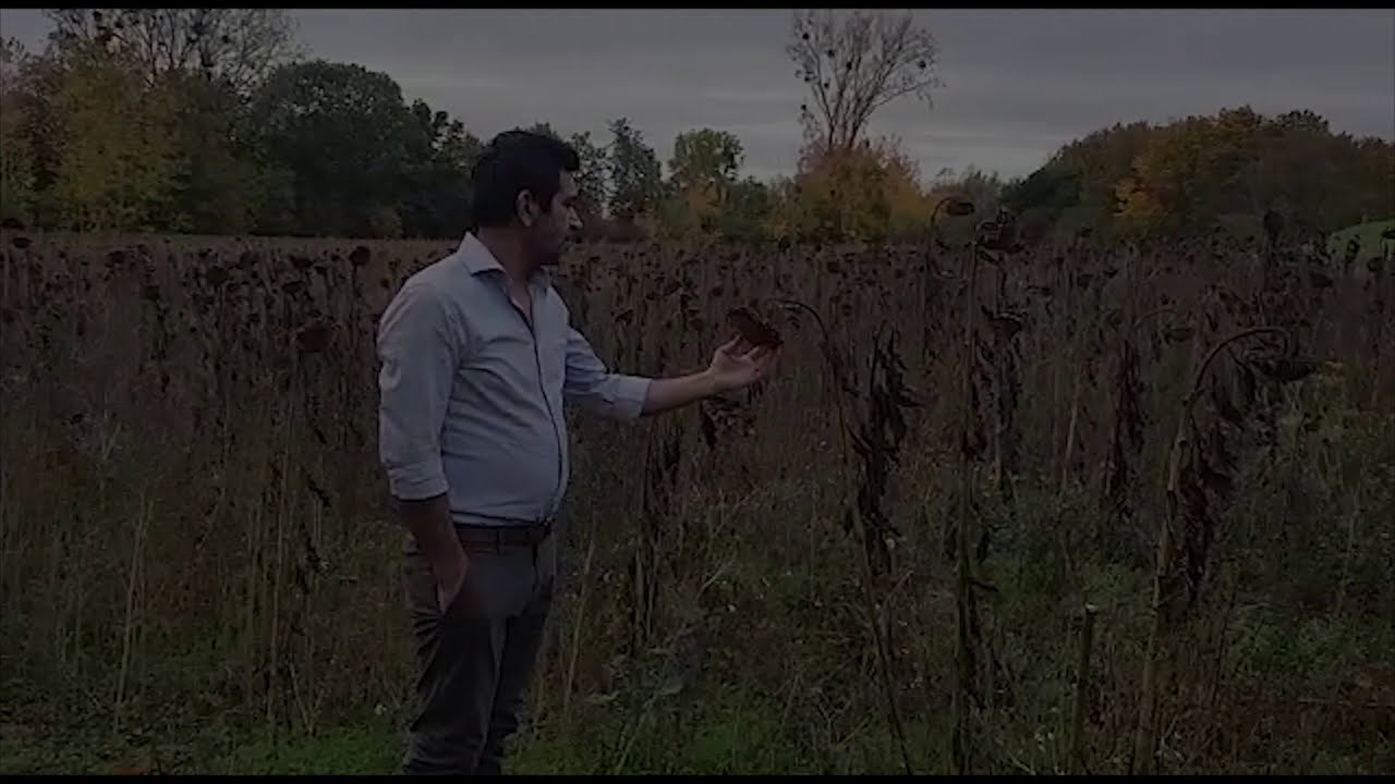 Mehmed Mutî, Ciwanî (Lê Lê Ciwanê/ Emrê Çuyî) Helbest: Seydayê Tirêj, Awaz: Mihemed Şêxo